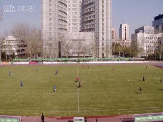 国产在线视频D区
