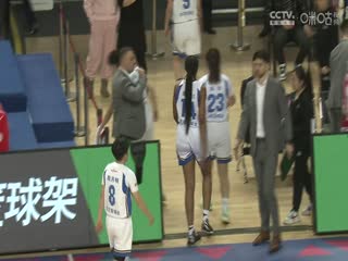 无码v免费播放