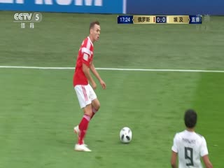 天堂成人网在线观看视频